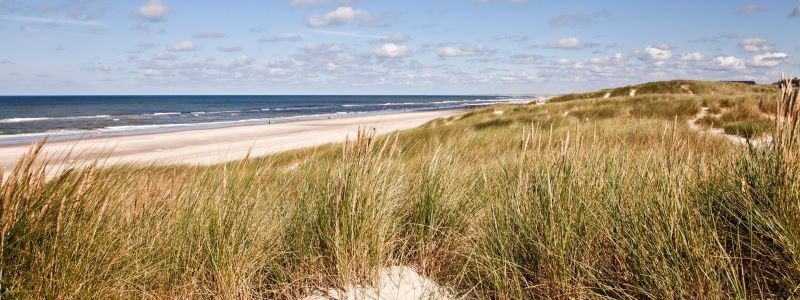 Familienurlaub Holland Meer